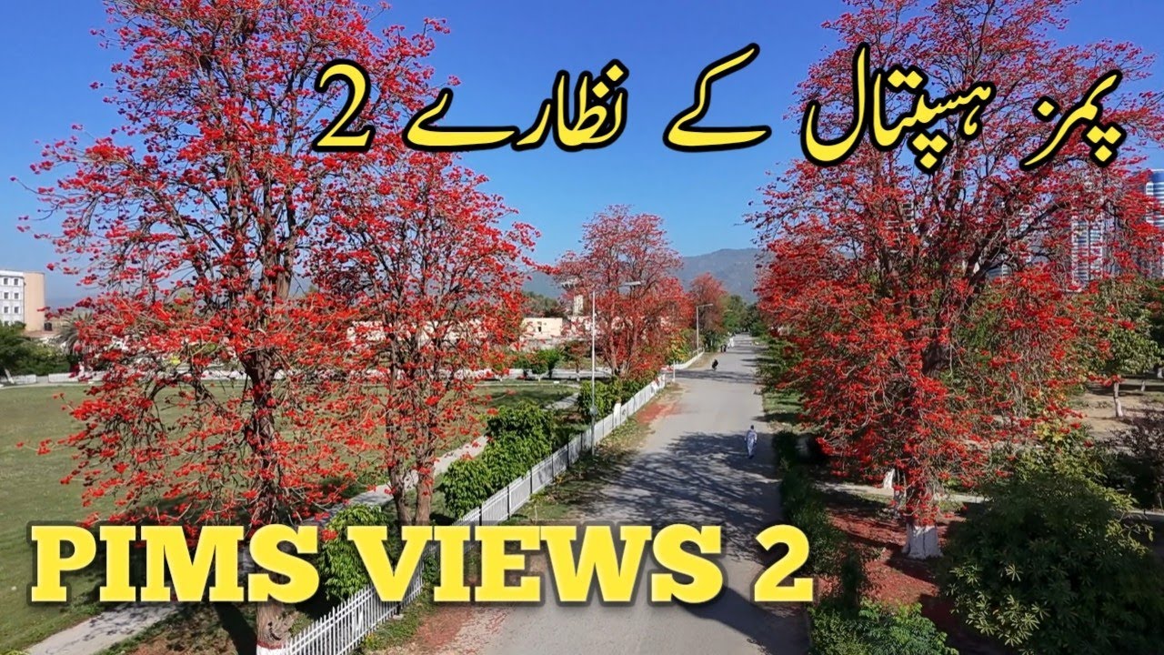 PIMS views | PIMS Hospital Islamabad | Islamabad Hospital | PIMS | HOSPITAL |