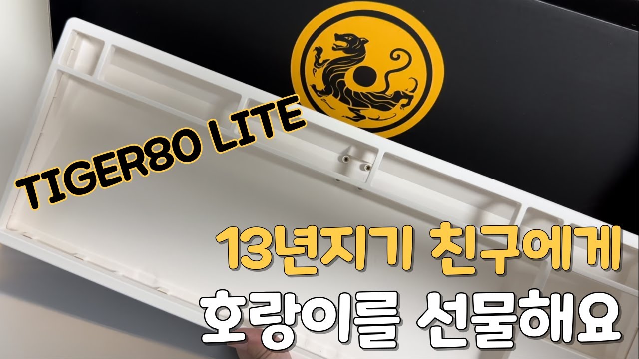 13년지기 친구에게 호랑이를 선물해요(타이거라이트 -TIGER80 Lite- 아주 자세한 전지적 키린이 시점!)