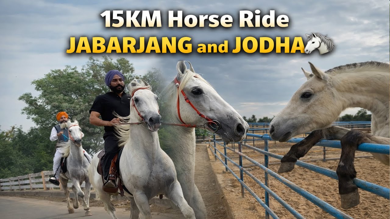 JABARJANG te JODHA leke gye assi kalan🐎//mini horse ki krda😂