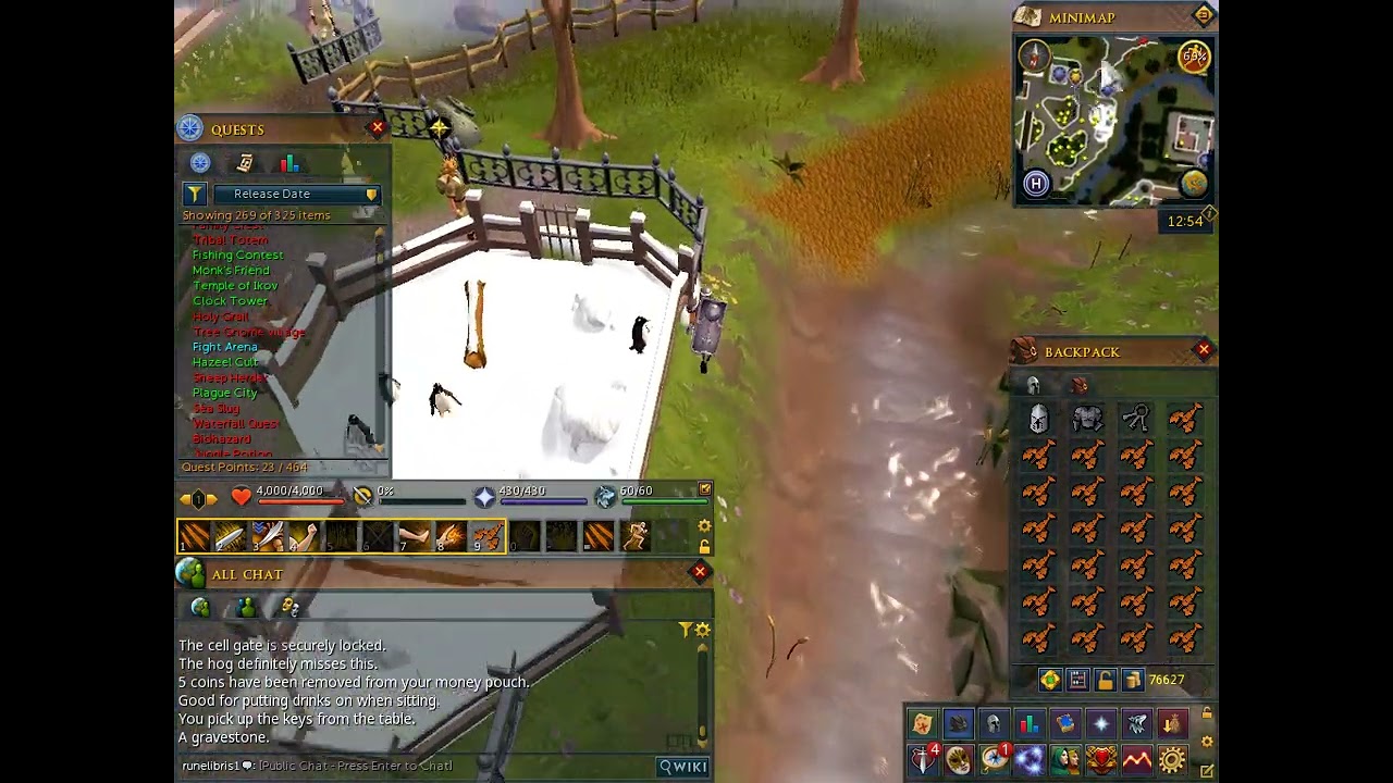 Fight Arena (Quest) - RuneScape 3