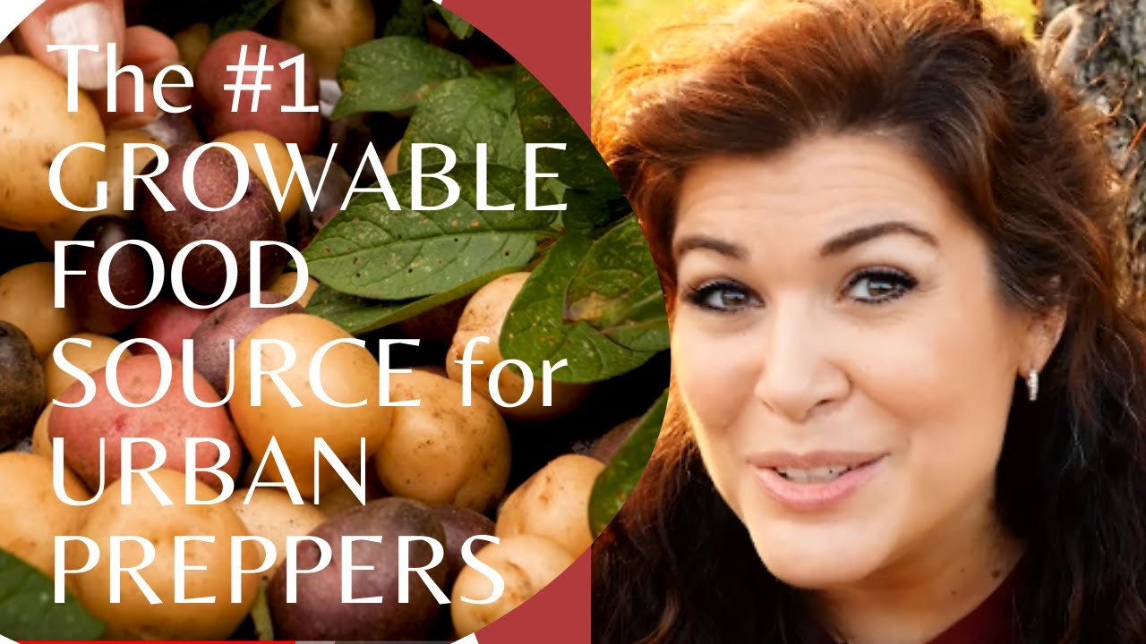 The Best Grow-able Food Source for Urban Preppers - POTATOES!