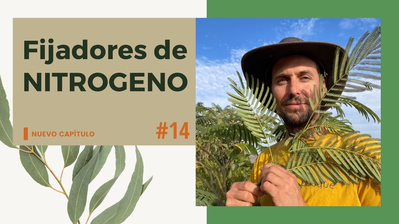 Fijadores de nitrógeno [Episodio 14]