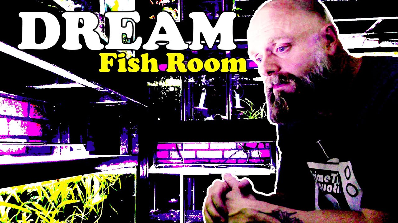 His *FISH ROOM* will have YOU Wanting MORE! Complete 30+ Aquarium TOUR!