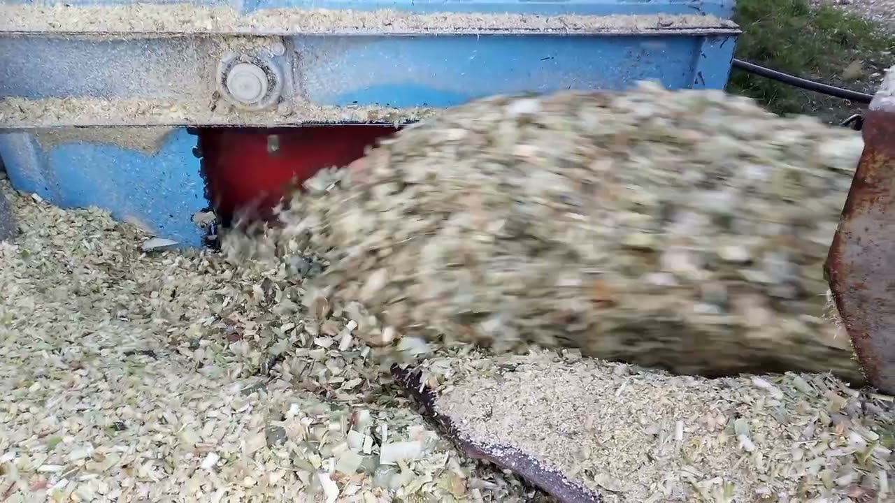 Mais Harvestore 2021