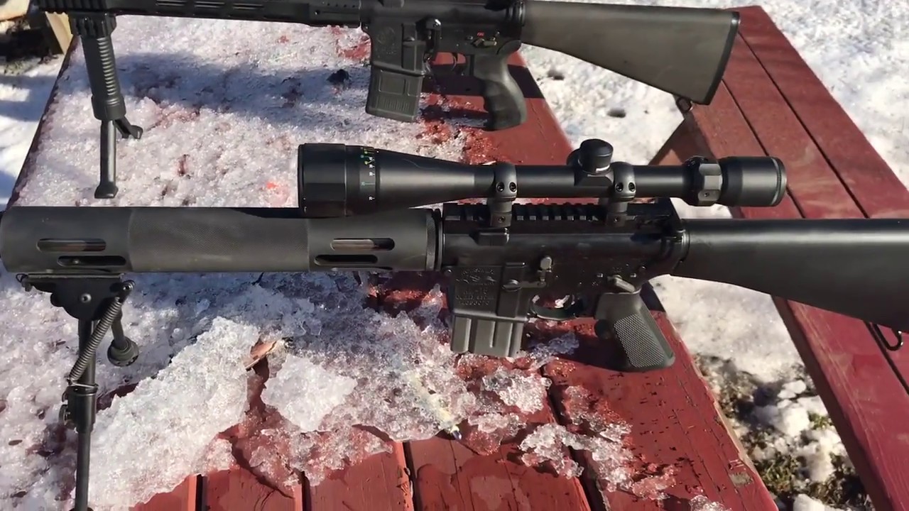 223 Vs  204 Ruger varmint control