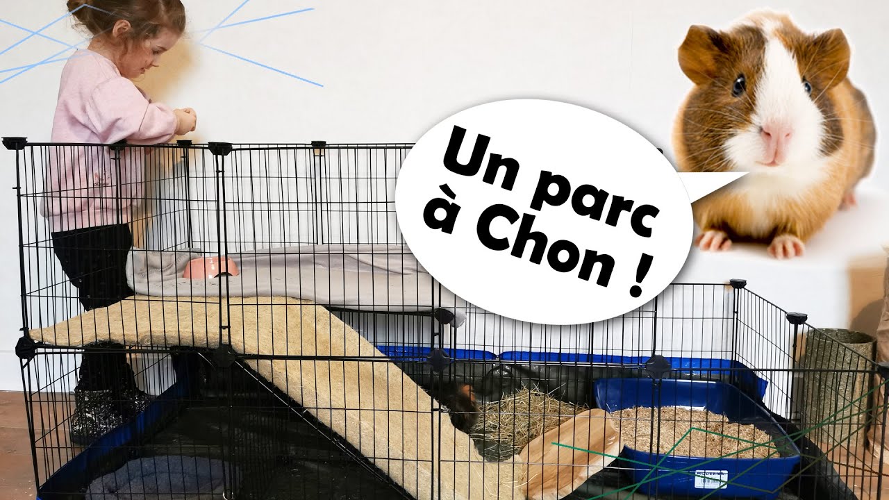 Cavy cage / Parc à cochon d'inde ! Un nouvel habitat !