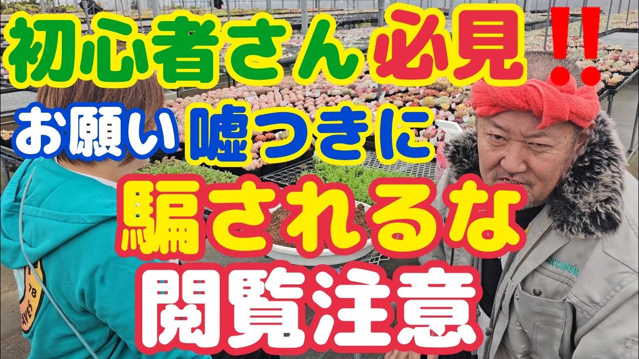 【多肉植物】【閲覧注意】多肉初心者🔰さん必見‼️お願いだから嘘つきに騙されないで🙏💦閲覧注意‼️2026年2月28日