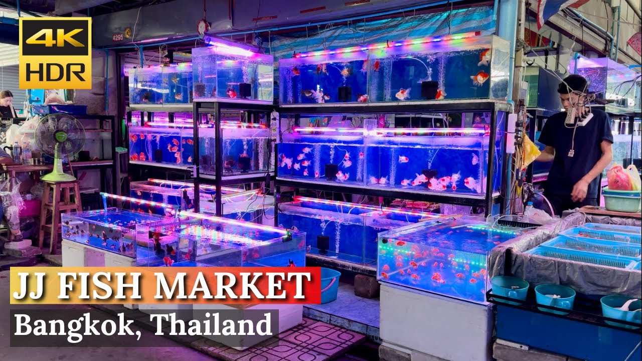 [BANGKOK] Chatuchak Fish Market 