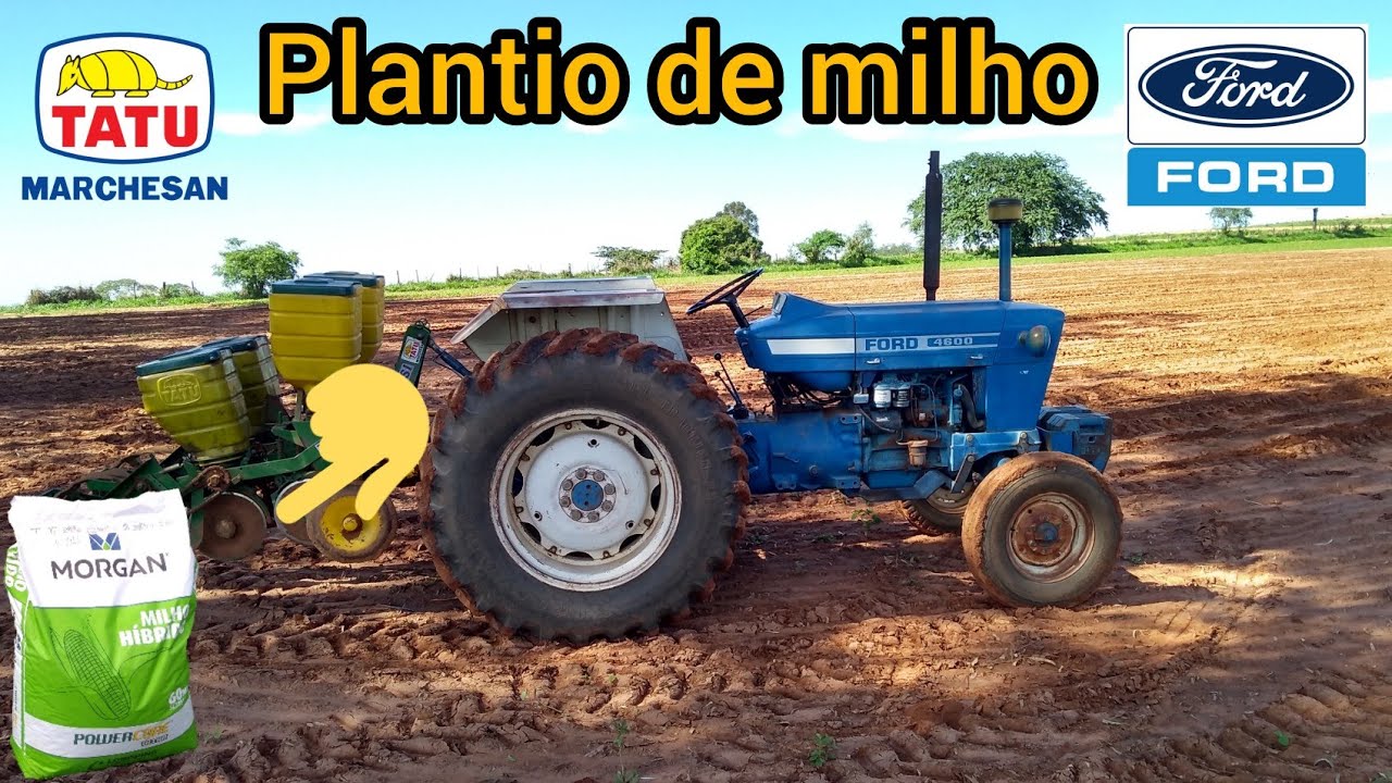 Plantio de milho para grão, trator Ford 4600, plantadeira Tatú T2Si e algumas dicas de regulagem