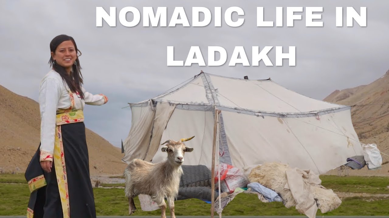 Inside a Tibetan Nomad Tent in Ladakh — Survival in cold desert. Why we need 6th Schedule 