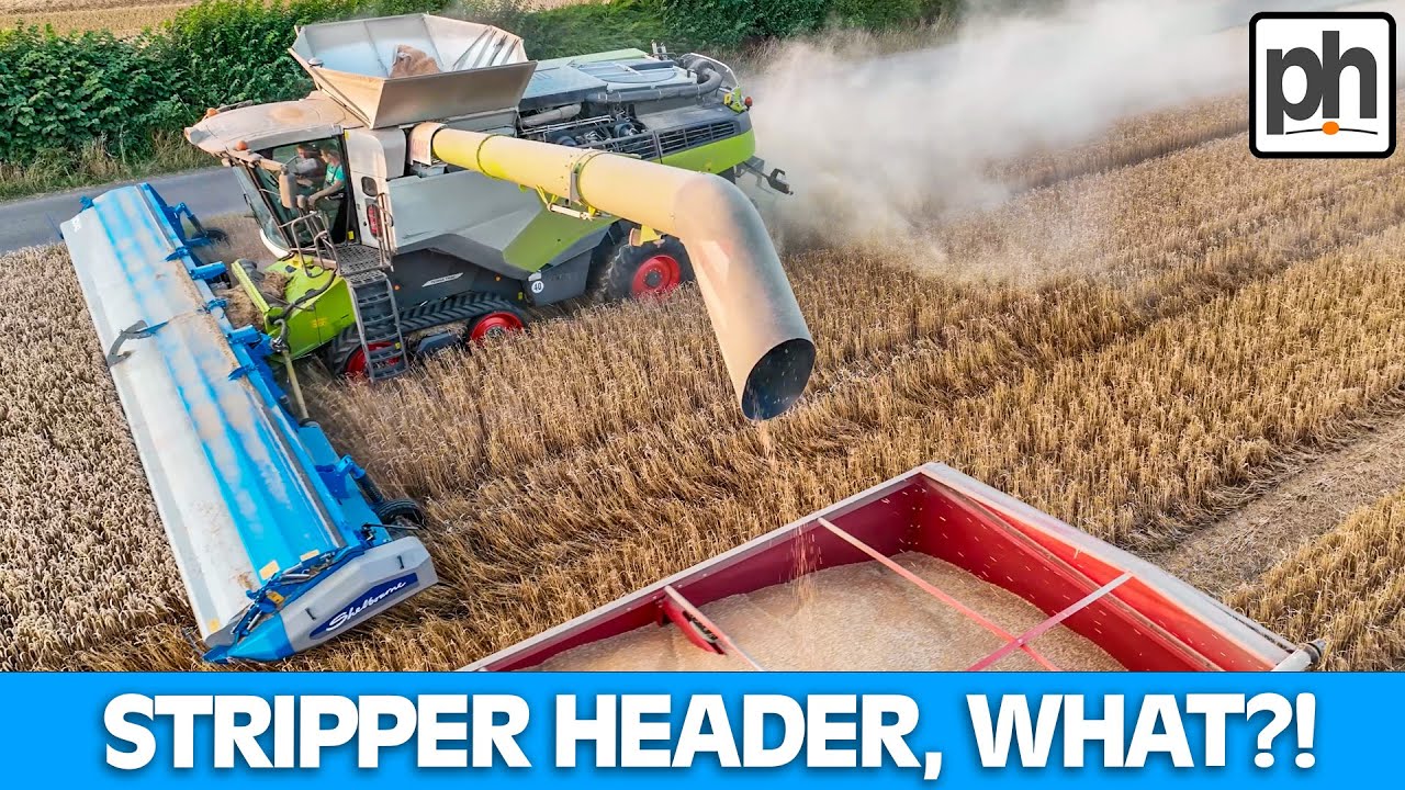 How Does a CLAAS 8800 Strip Wheat with a Stripper Header #harvest2022 #farmingvideo