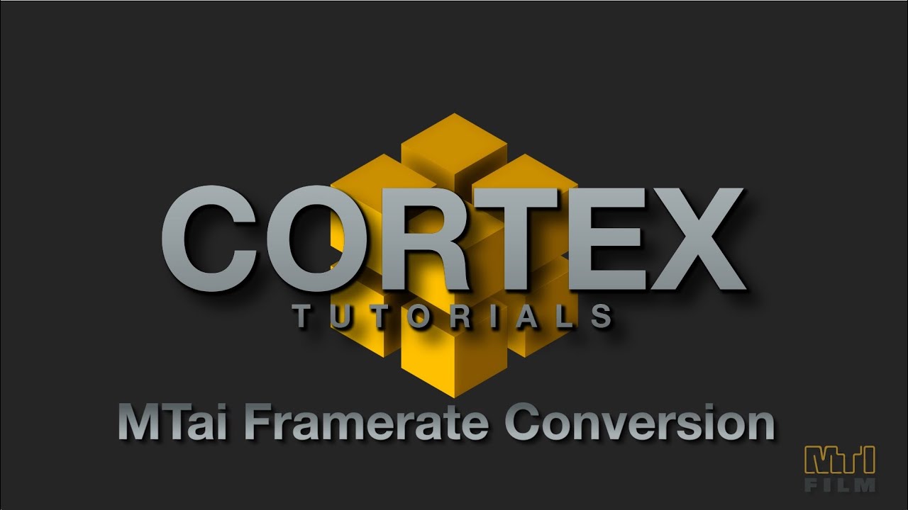 MTai Frame Rate Conversion