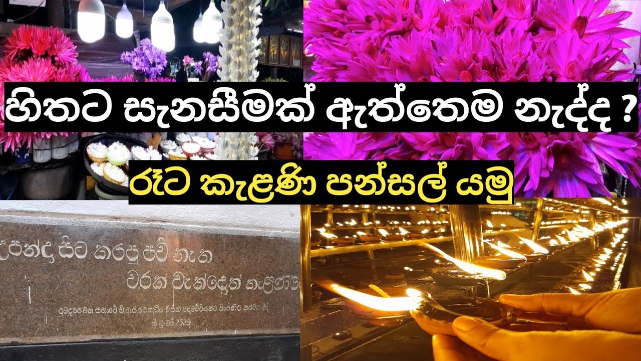 🌸🙏හිතේ සැනසීම හොයාගෙන රෑට කැළණි පන්සලට /Inner Peace at Kelaniya Temple/Night Vlog @PeacefulLifeDiary