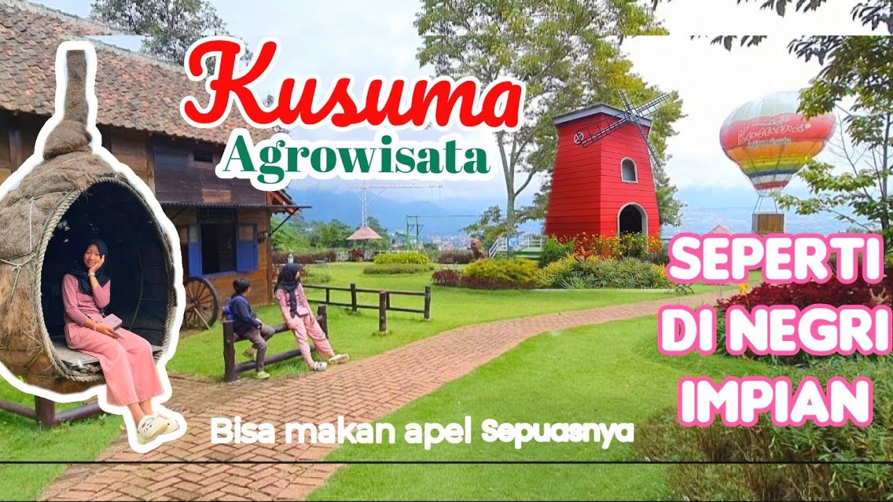 SENSASI PETIK APEL DI KUSUMA AGRO WISATA BATU MALANG 😁