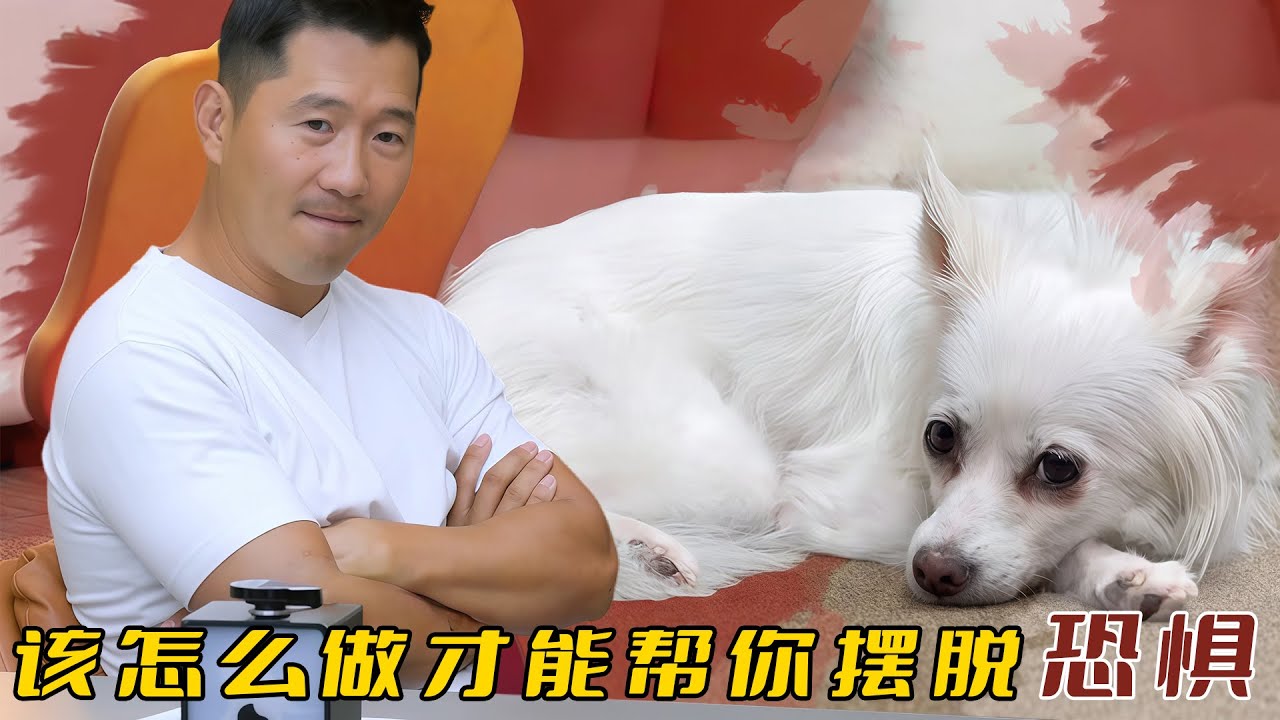 狐貍狗被人惡意投毒，死裏逃生卻患上了ptsd，訓犬師坦言沒有信心治好