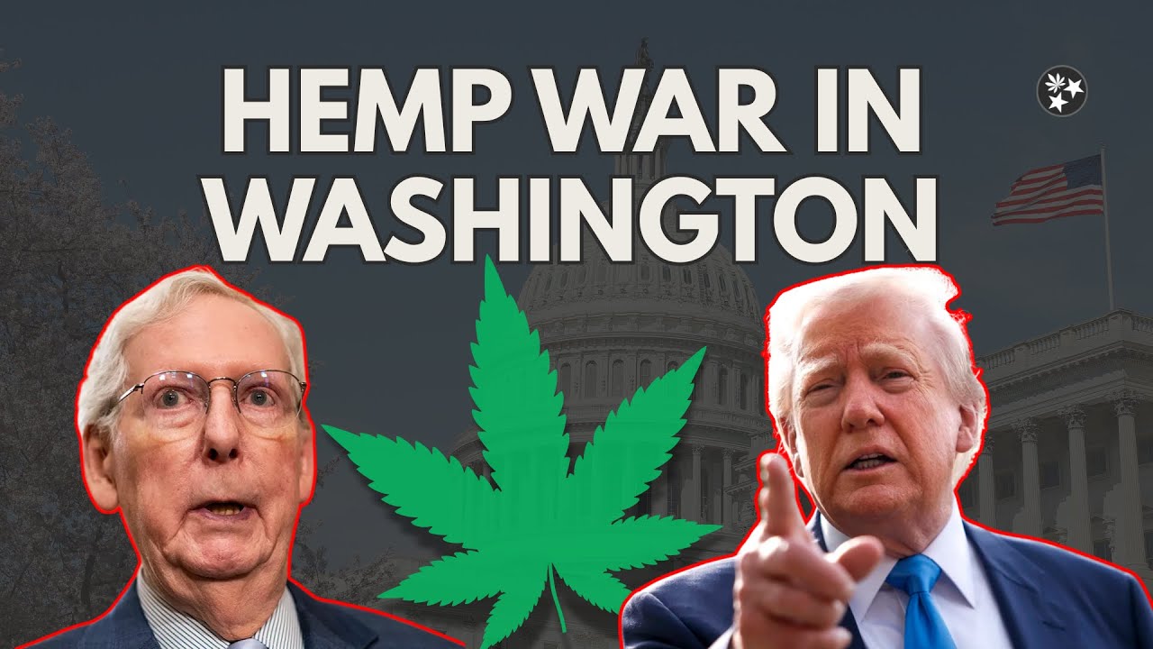 The Hemp War in Washington Explained