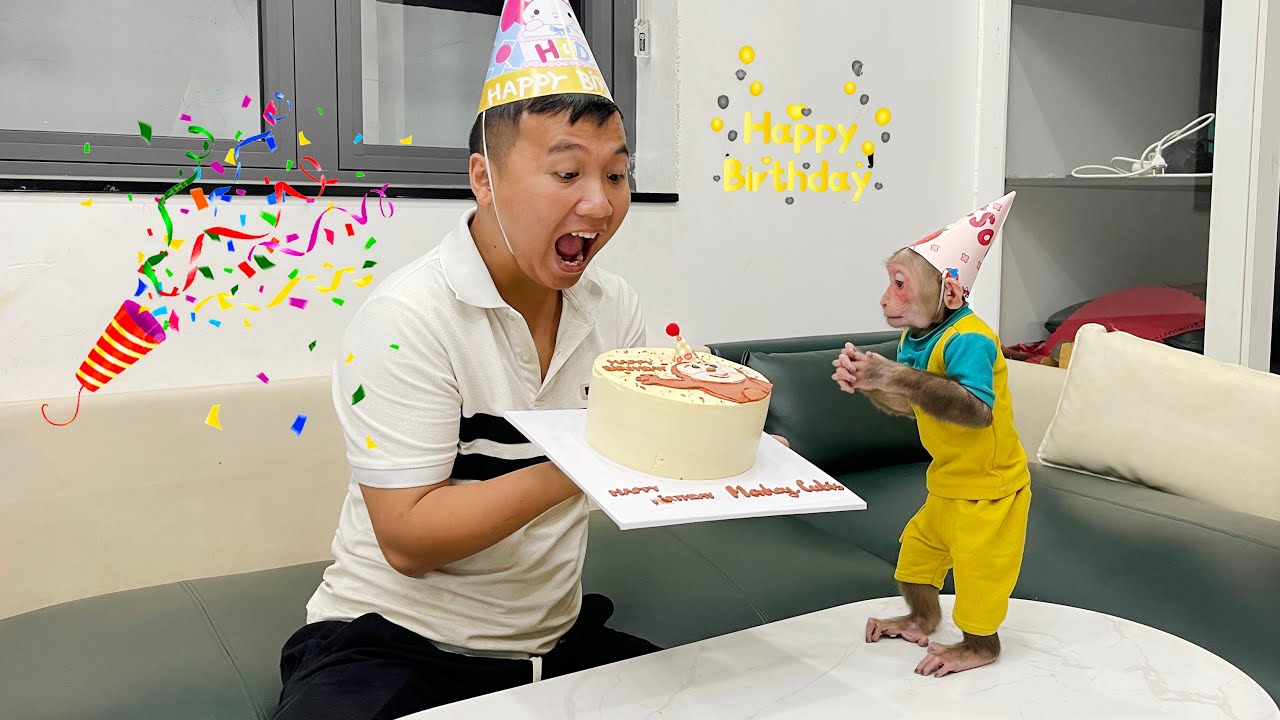 Happy birthday baby monkey Cubis!