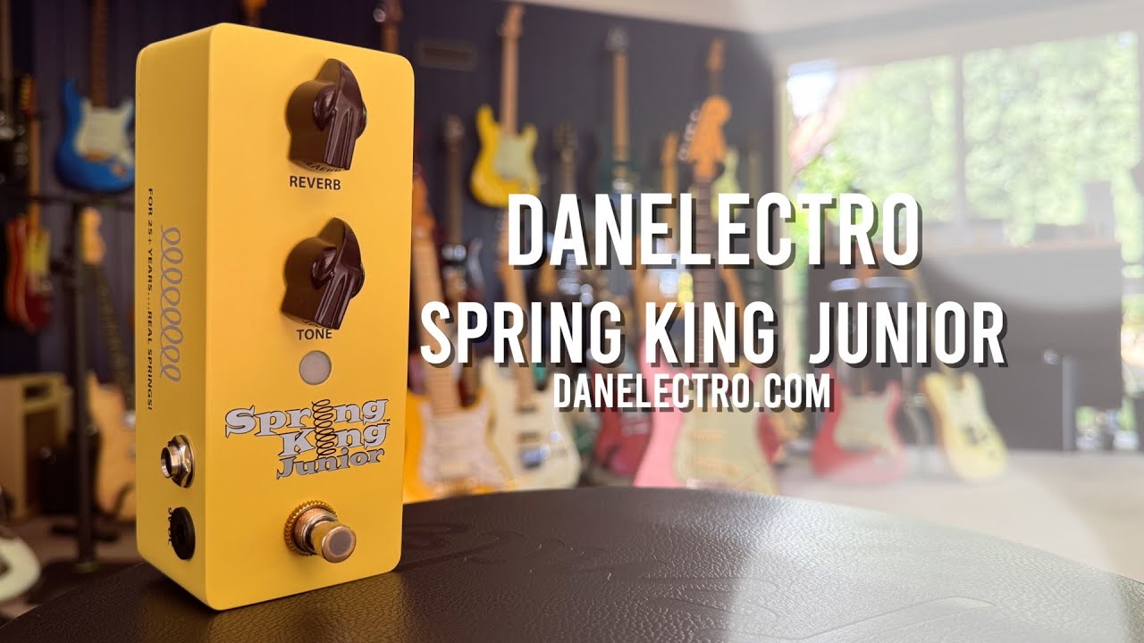Danelectro: Spring King Junior. REAL Spring Reverb