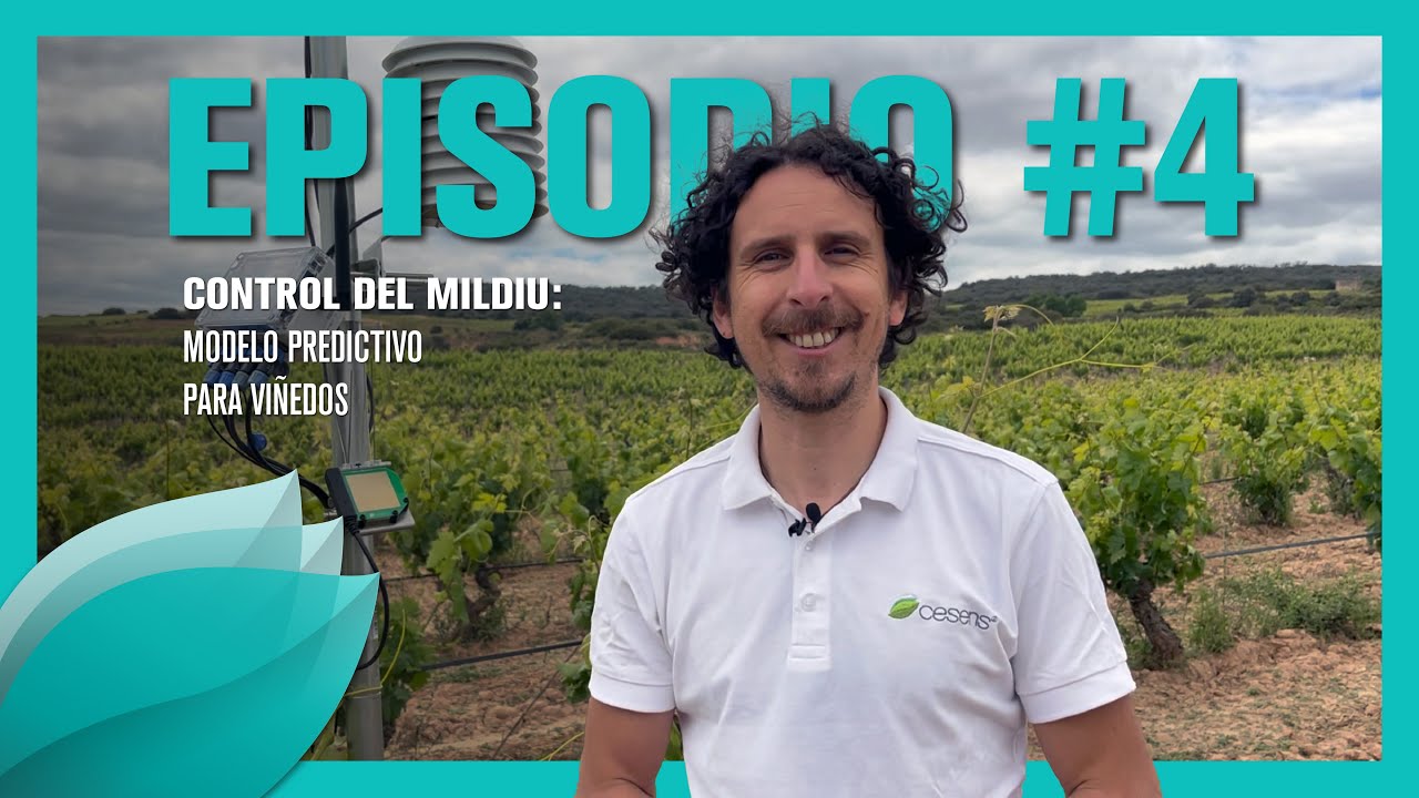 Control del Mildiu: Modelo Predictivo para Viñedos