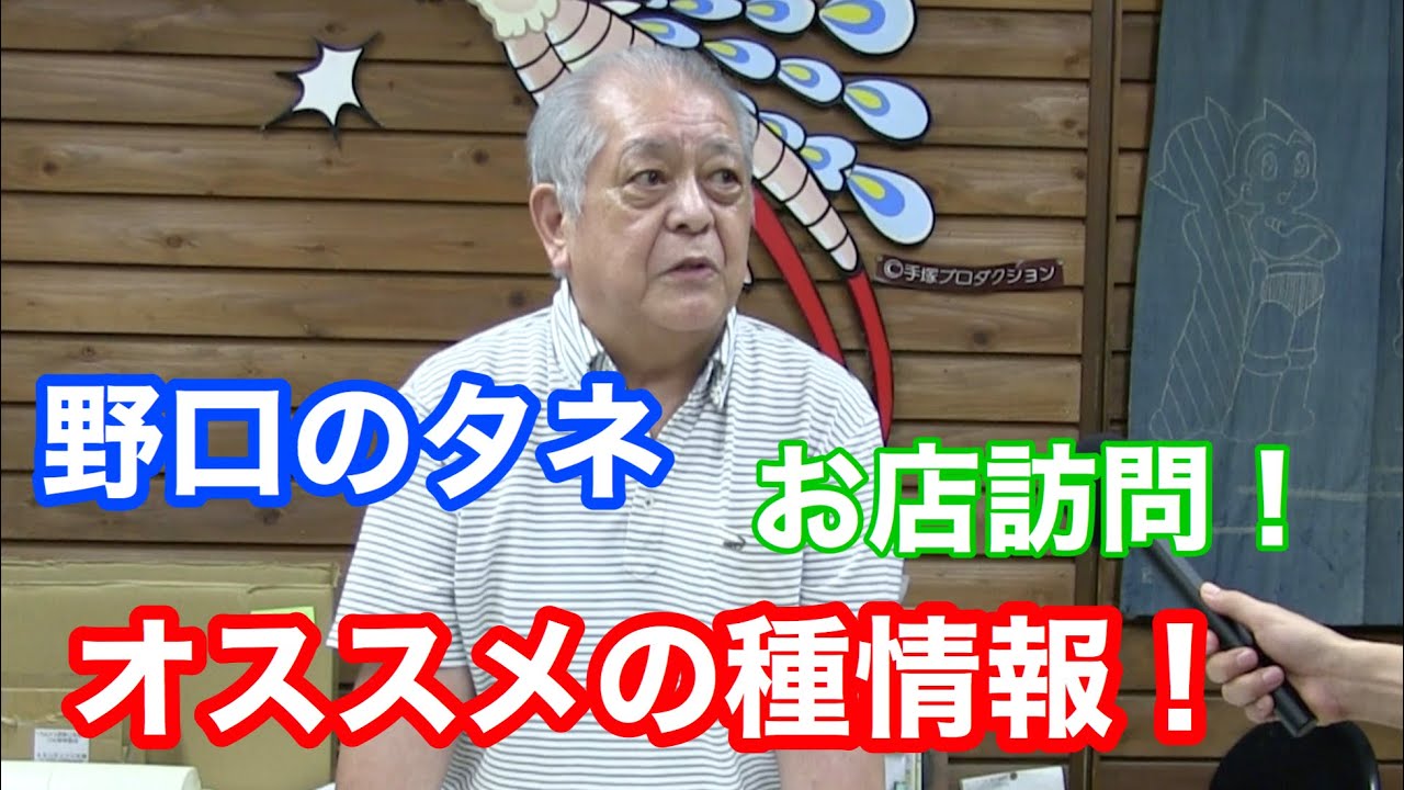 【お店訪問！】野口のタネ、実際にお店に行ってきました！
