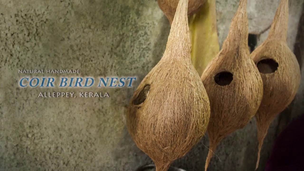 Coir Bird Nest - Alleppey, Kerala#CoirBirdNest#KeralaHandicrafts#EcoFriendlyProducts#CoconutFiber