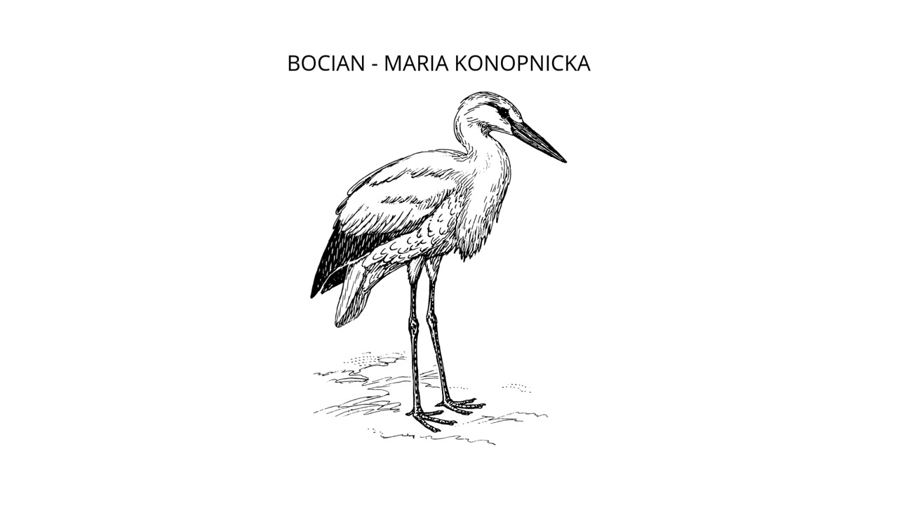 Bocian – Maria Konopnicka | Wiersz dla dzieci | Lektura szkolna |