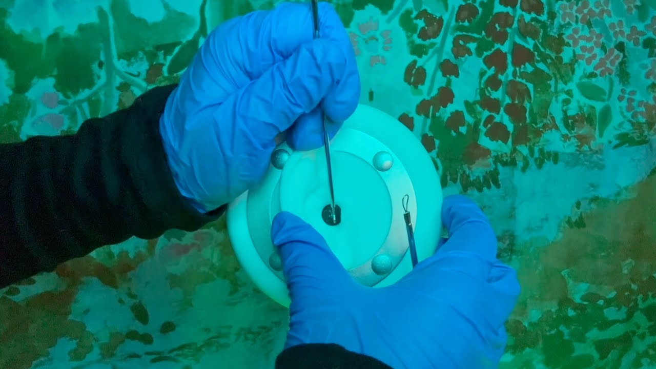 ASMR | Long Ear To Ear Cleaning - Exterior & Interior, 10+ Tools, Visual Tingles, Soft Spoken