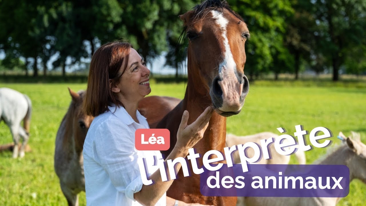 Léa, interprète des émotions des chevaux (et des vaches) !