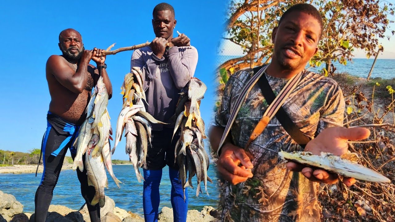 spearfishing hunt massive catch of fish: D&G fall from a tree 😱the mystery Stone??