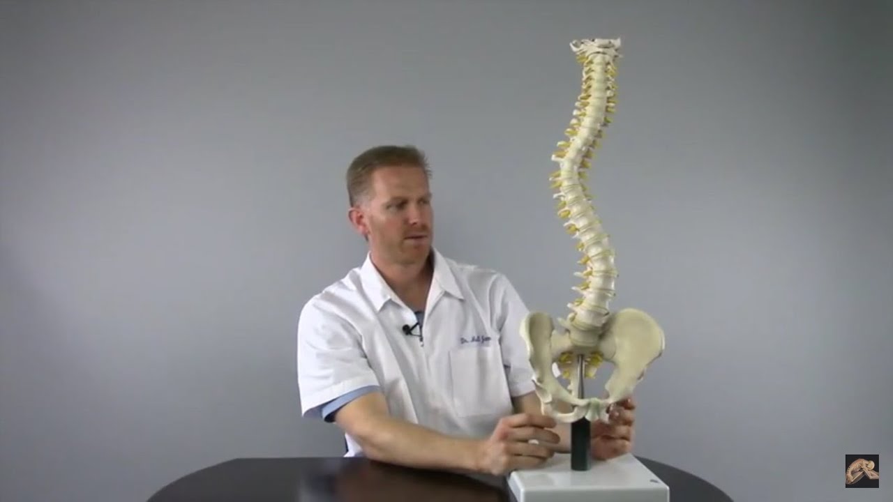 الجنف بيعمل ايه بالظبط في العمود الفقري - مترجم  What is scoliosis? Best video discuss it