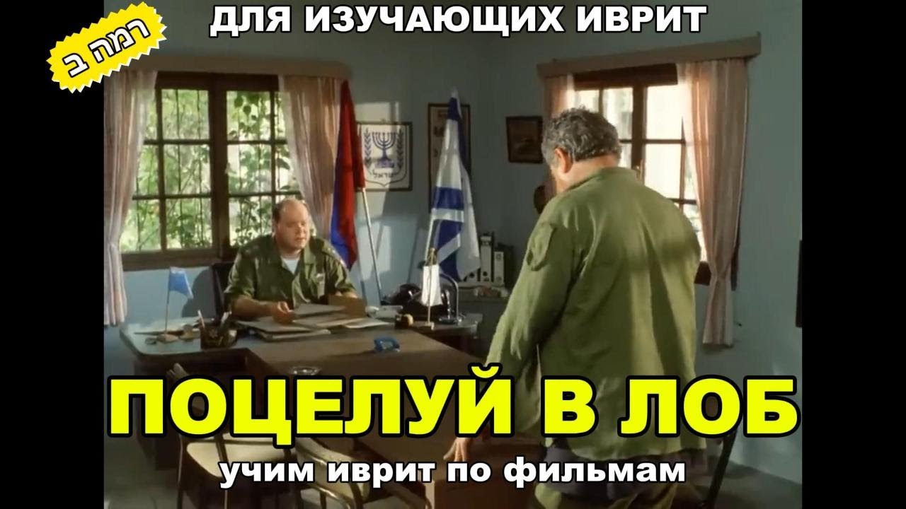 Поцелуй в лоб - учим иврит весело