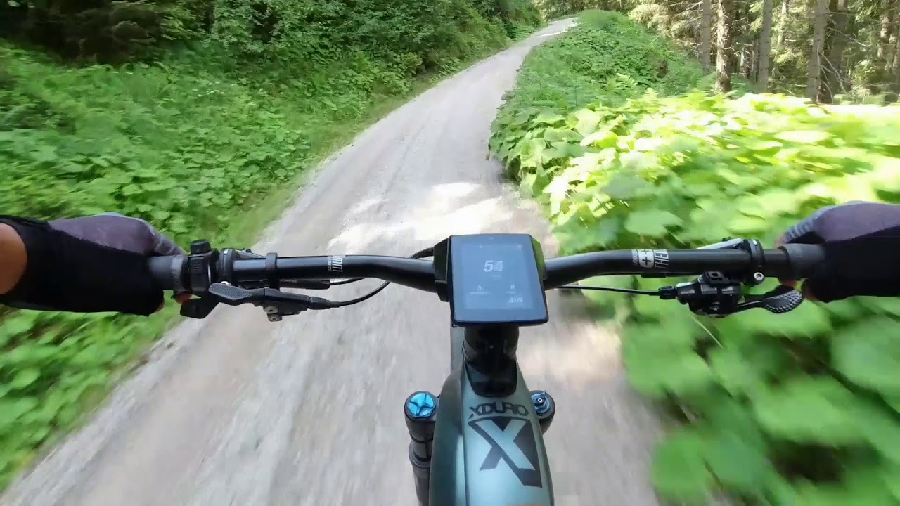 Haibike Flyon Allmtn 8.0 Abfahrt Inzinger Alm über Hatting