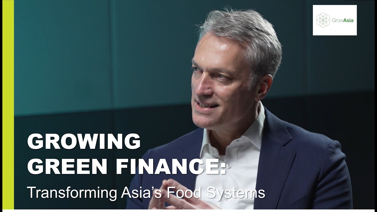 Rabobank CEO of Singapore, Harjan Kuiper