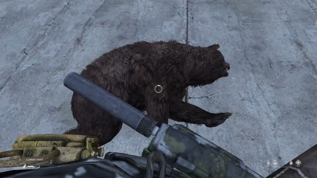 Ain’t in the mood for no bear 🐻 