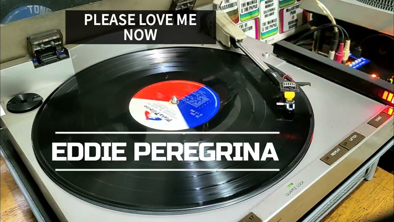PLEASE LOVE ME NOW EDDIE PEREGRINA NO INFRINGEMENT INTENT JUST VINYL LOVER