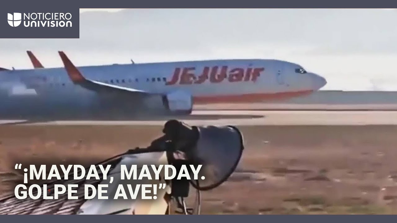 Revelan llamada de emergencia del avi&oacute;n siniestrado en Corea del Sur