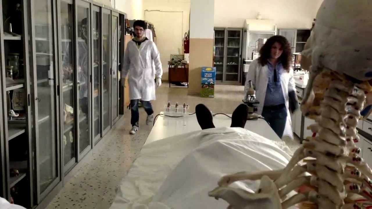 Liceo scientifico caltanissetta BIG
