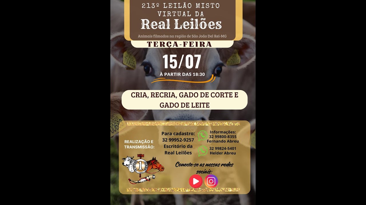 213º LEILÃO MISTO VIRTUAL DA REAL LEILÕES