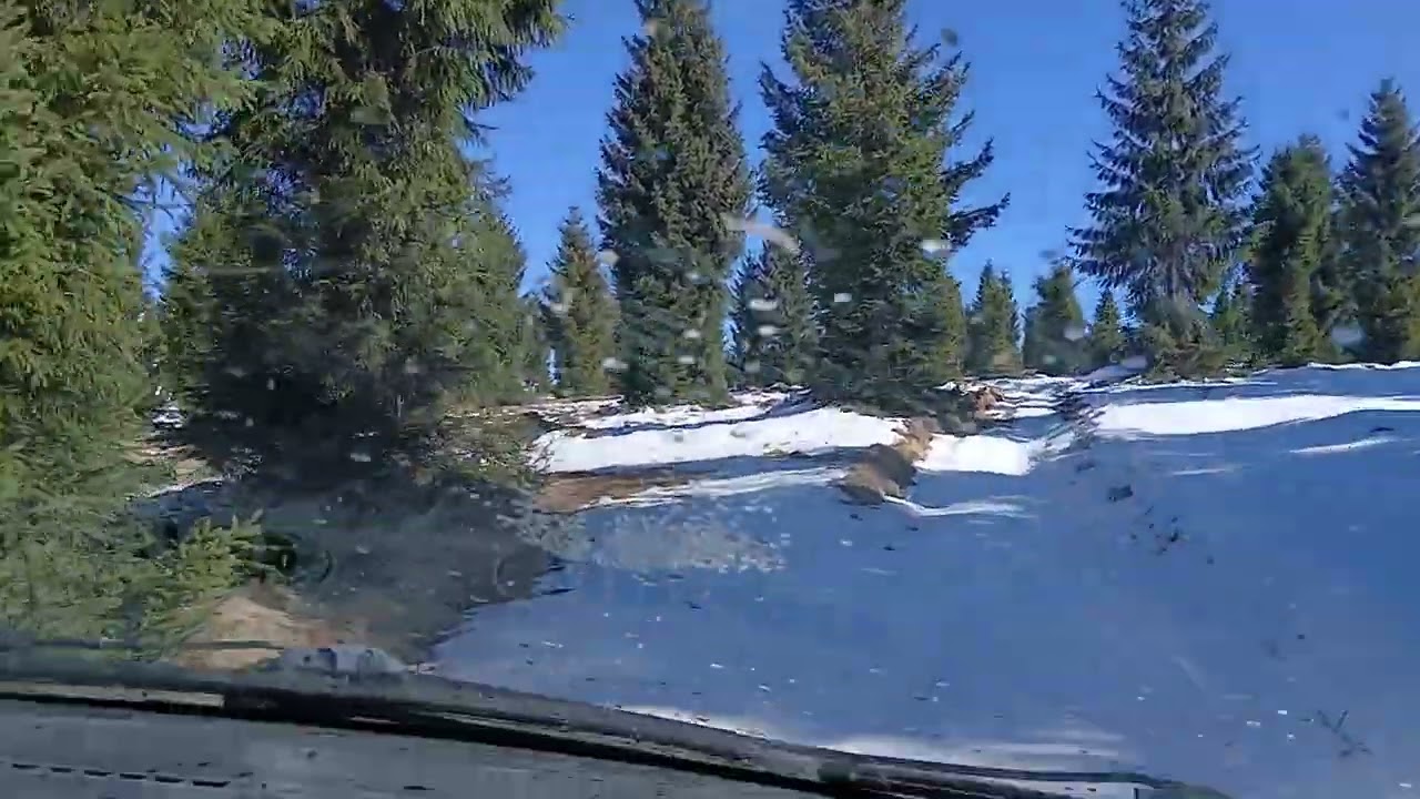Ai avea curaj? Sa faci o tura cu 🚗 Matizul nostru prin PĂDURE! Aventură nebună Off-Road 