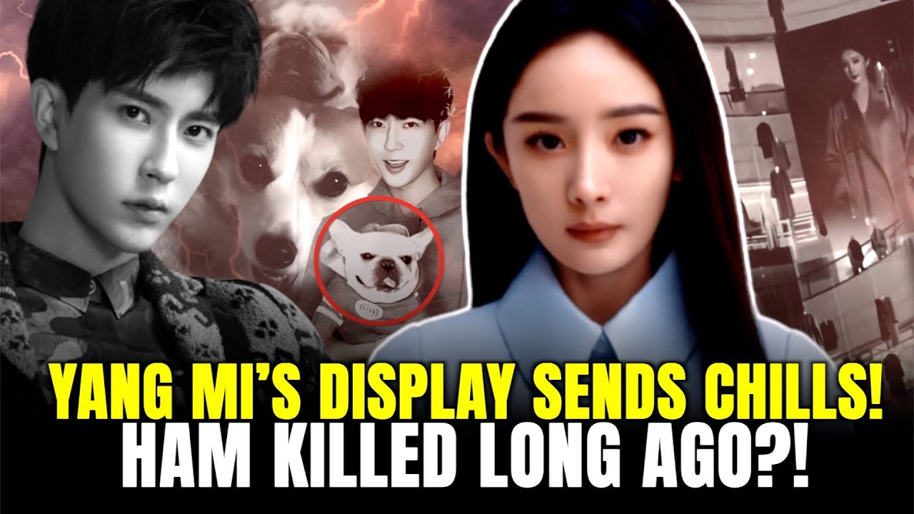 Yang Mi&rsquo;s Display Shocks; Yu&rsquo;s Dog &lsquo;Ham&rsquo; Killed in 2020? China&rsquo;s &lsquo;Human-Mine&rsquo; Economy Exposed.