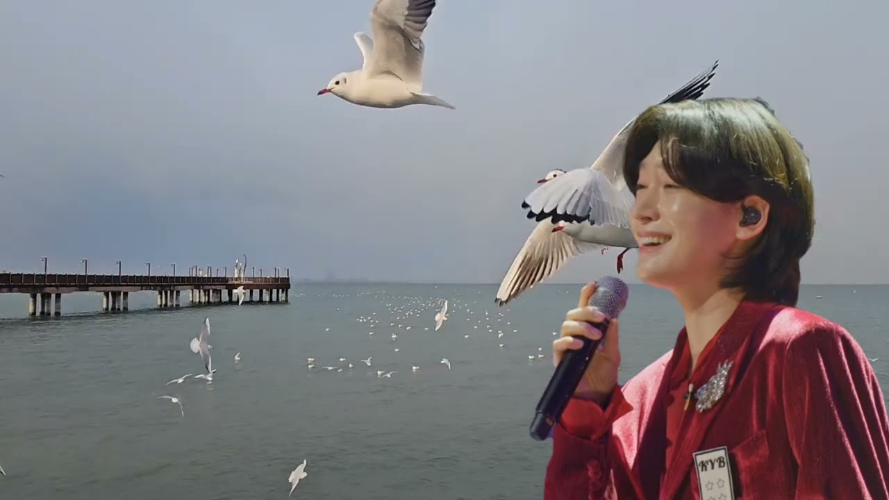  김용빈 사랑빈  - 사랑은 영원히,  삽교천 해양공원 갈매기 , 서해대교 사랑빈 #시골일상tv