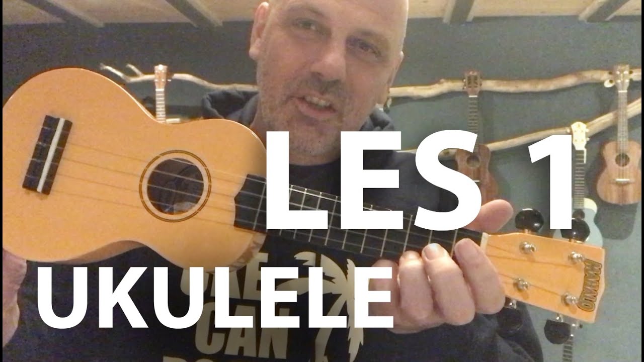 Ukelele les 1