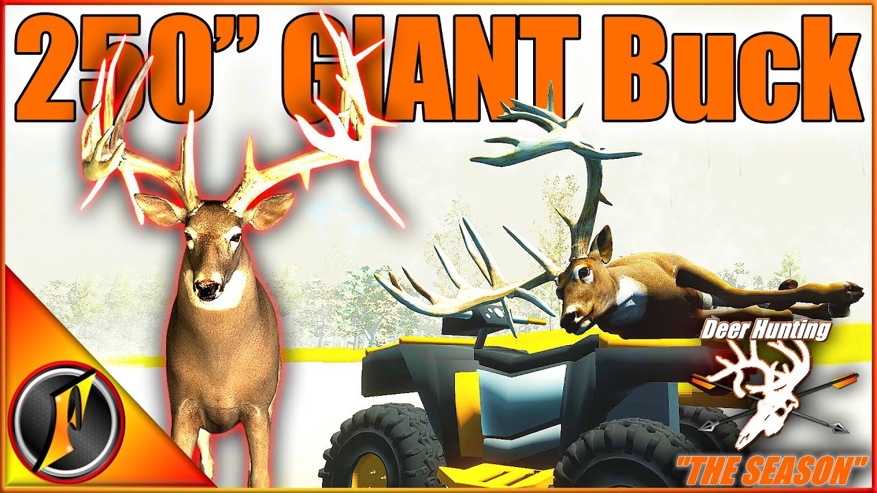 Охота с луком: самый большой денежный приз в игре! (250+ нетипичных случаев) | Сезон