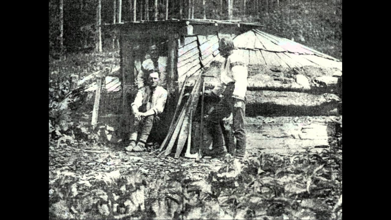 БОКОРАШІ