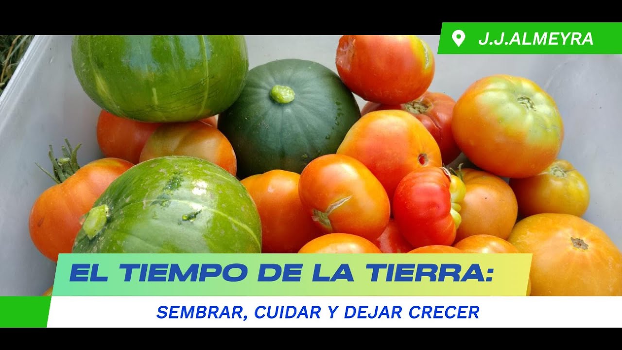 El tiempo de la tierra: Sembrar, cuidar y dejar crecer #vidarural #huertafamiliar #estilodevida