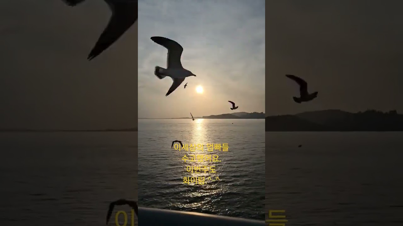 #월미도 #인천나들이 #석양 #sunset #아이랑인천 #inchon #picnic  #koreadaytrip #wolmido #주말드라이브 #드라이브