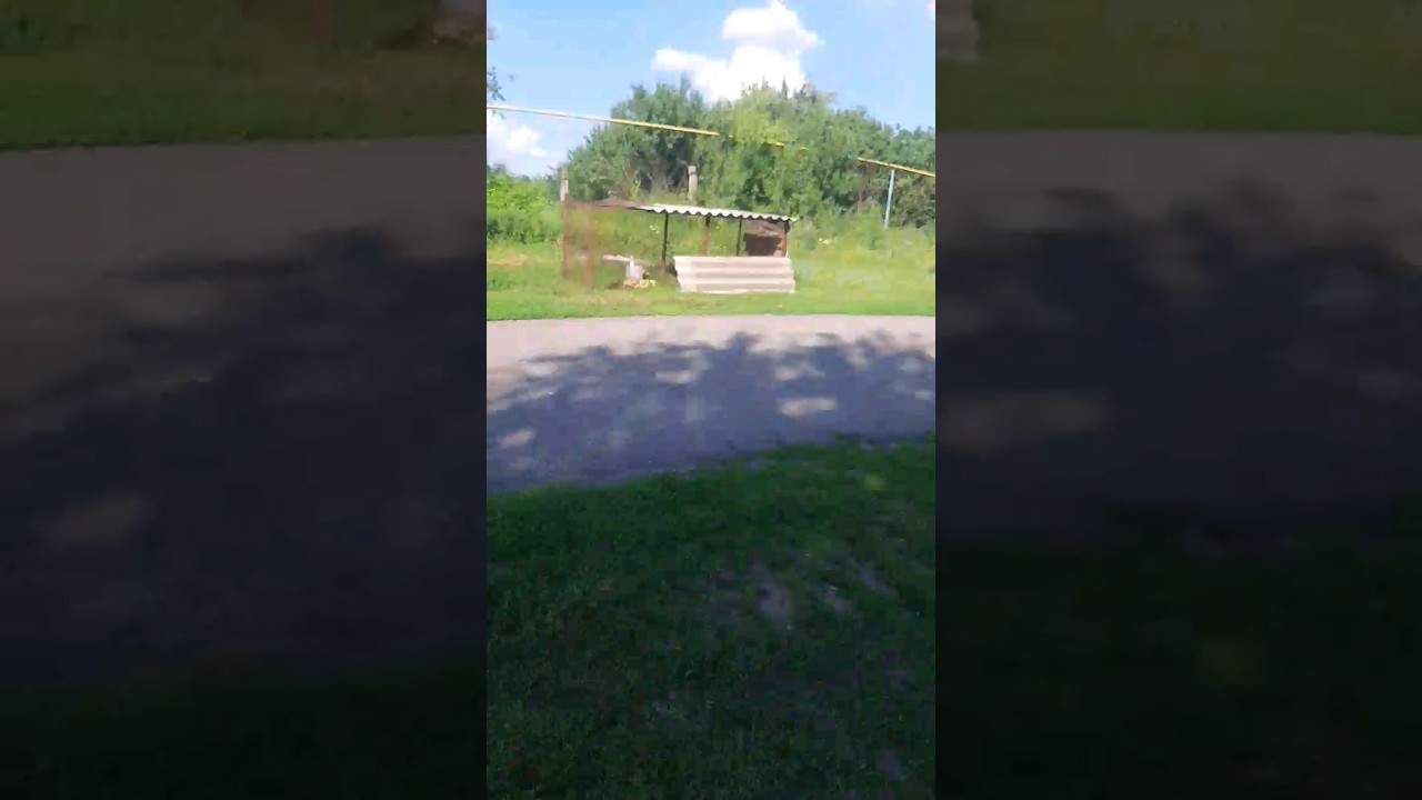 9 июня 2024 г.