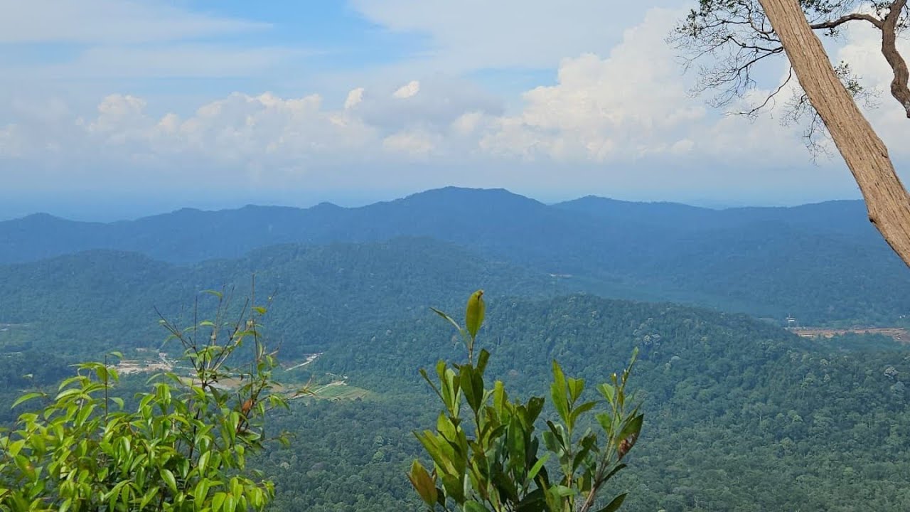 Gunung Panti Barat Kota Tinggi Johor Day Hike