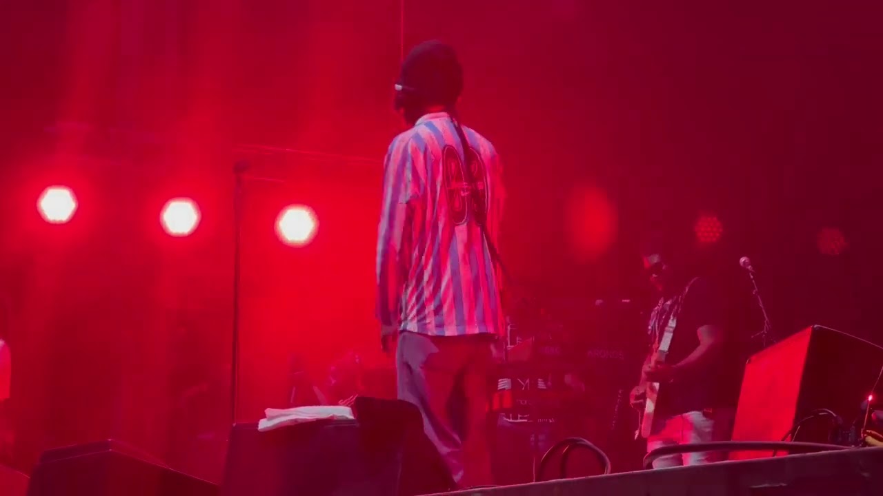 Protoje - Feel it - One Love Festival Wiesen/Austria