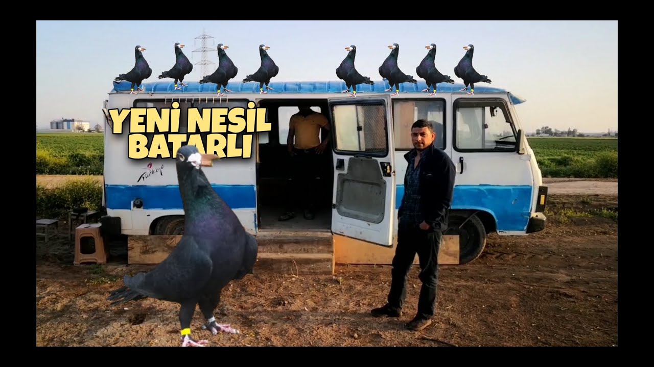 BİR KİLOMETRE ÖTEDEN BATAN ADANA GÜVERCİNLERİ.